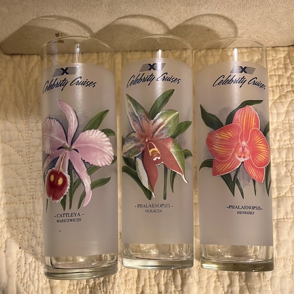 Vintage Celebrity Cruises Tall Orchid Bar Cocktail Glasses